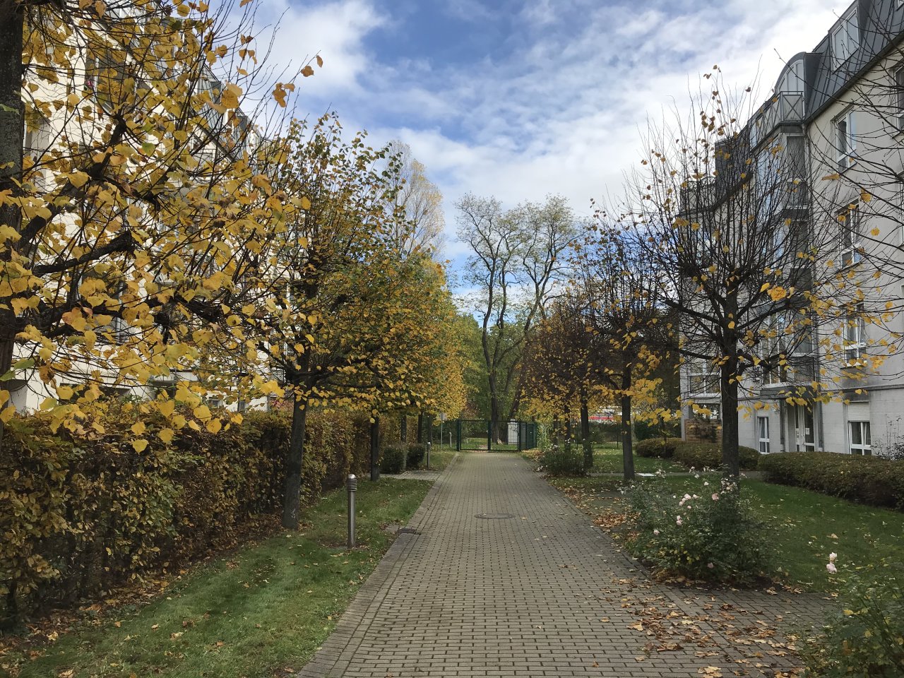 Ab 01.08.26! 1-Raum WE mit Balkon, Einbauküche und Tiefgaragenstellplatz in ruhiger Seitenstraße