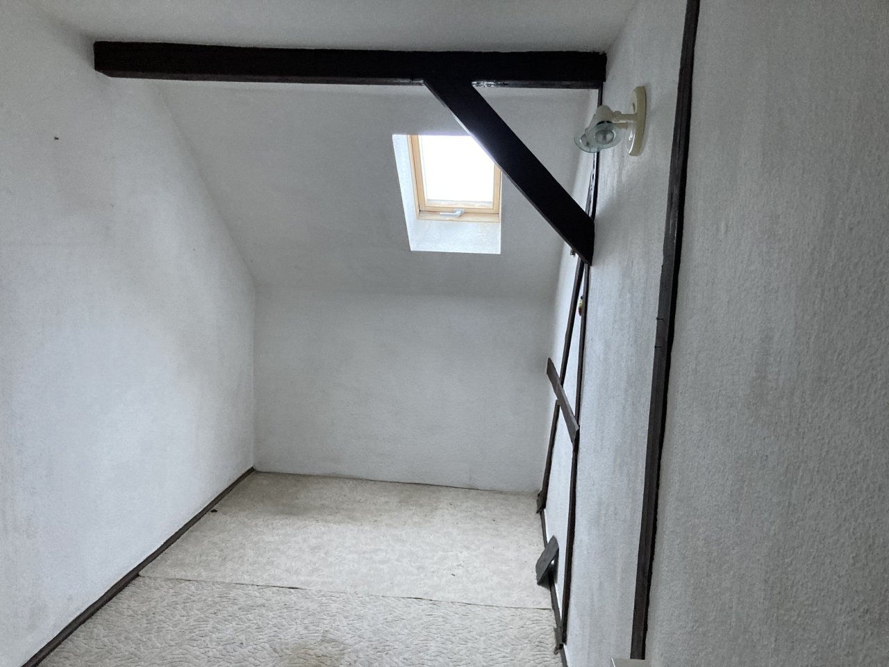 Sanierungsbedürftiges, kleines MFH, Ausbaupotenzial im DG, schönes Grundstück!