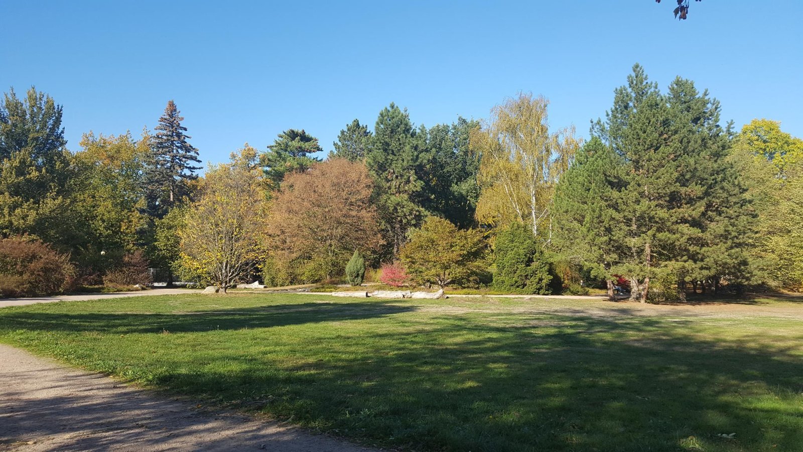 Schöne 2-Raum-Wohnung im EG mit Laminat/Fliesen und Balkon! Vermietet!