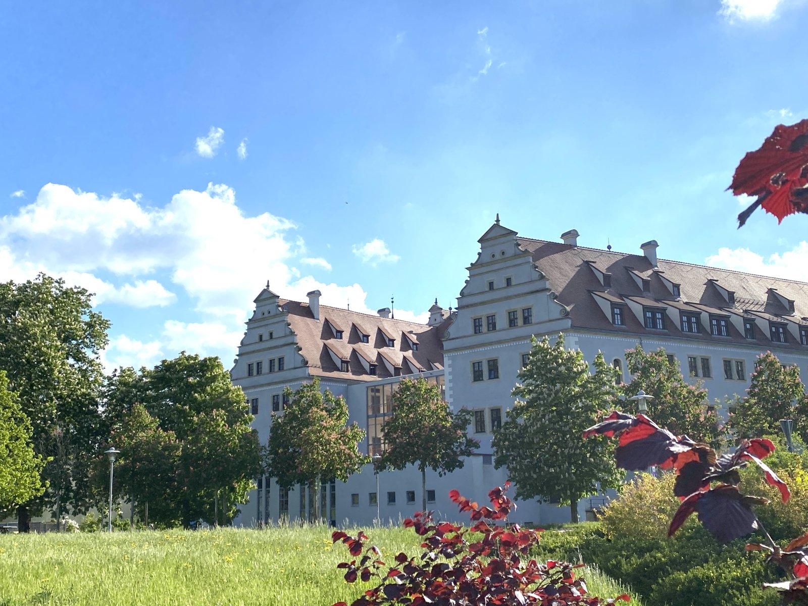 Zentrumsnahe 2-Raum-Whg.! Tageslichtbad, Balkon mit Blick ins Grüne; Vermietet!