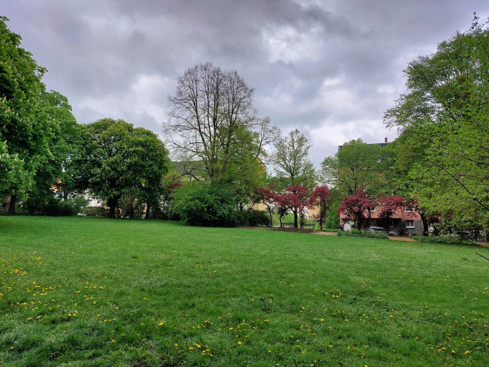 Geräumige, helle 2-Raum-Whg. im EG mit Balkon, Einbauküche und TV im Kochbereich, vermietet!