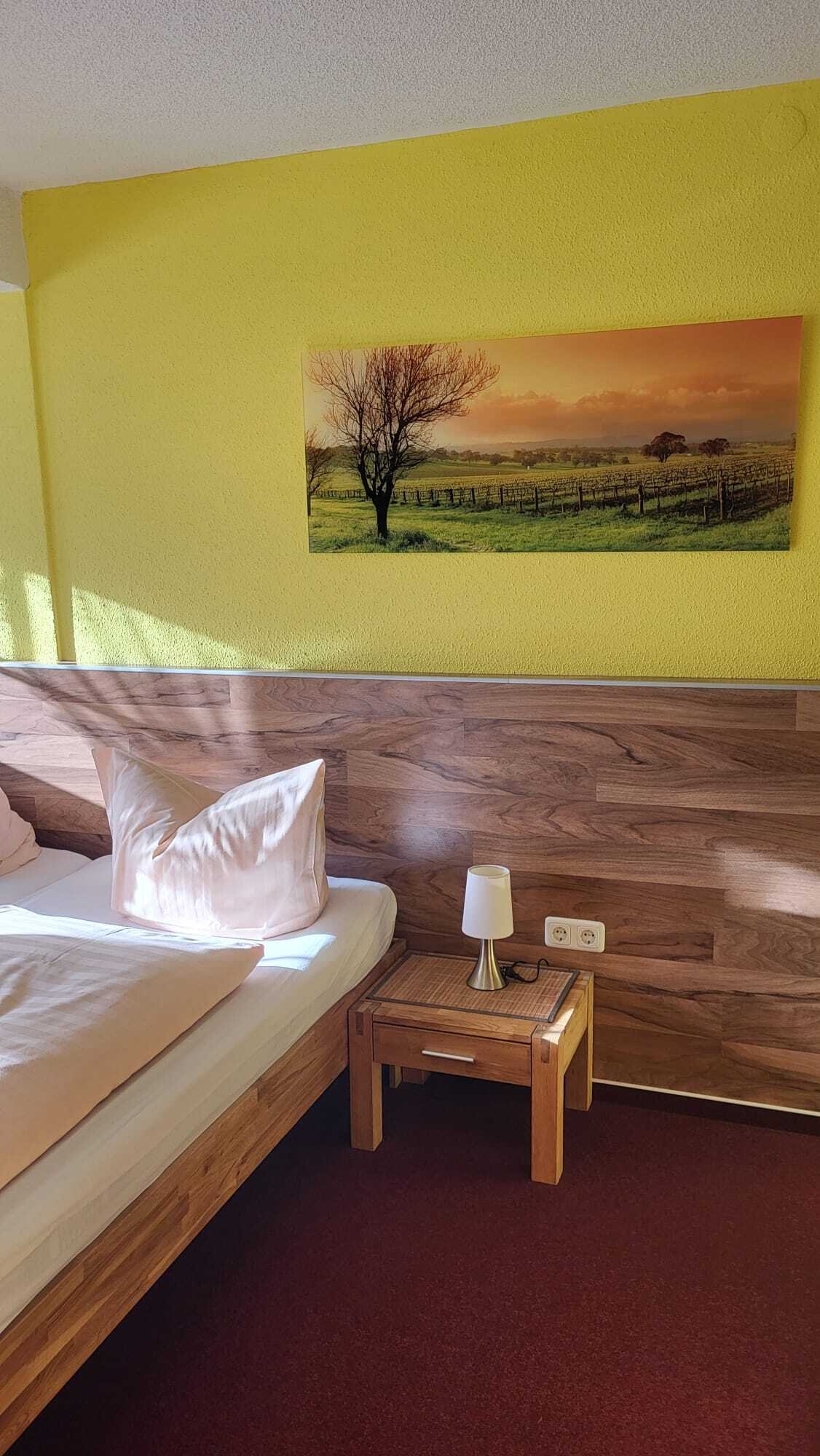 Ehem. Parkhotel mit 19 Zimmern + viele Extras + herrlicher Fernblick, Denkmalschutz