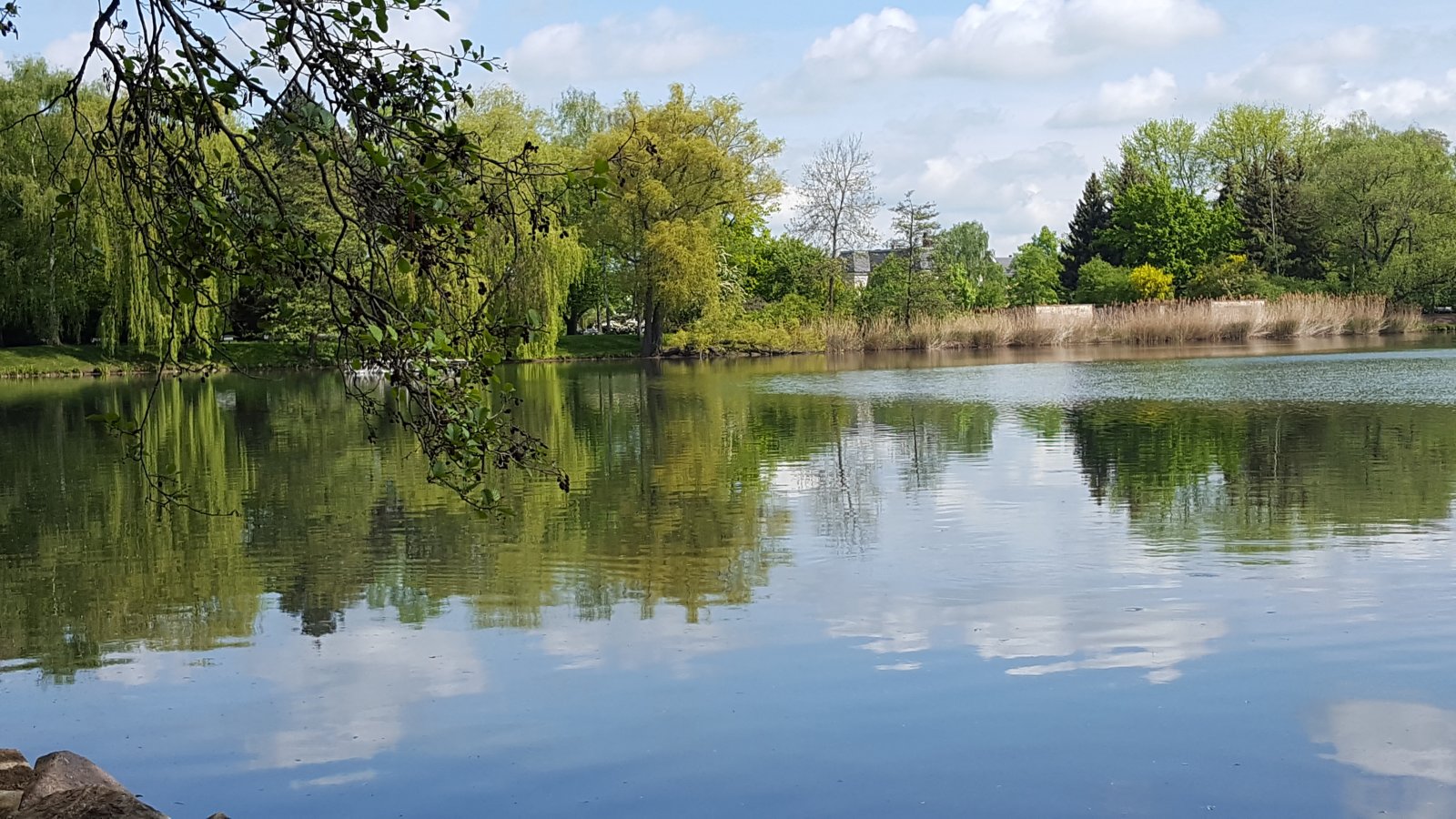 Vermietete Büroeinheit mit Lager in Zwickau! Zentrumsnah!