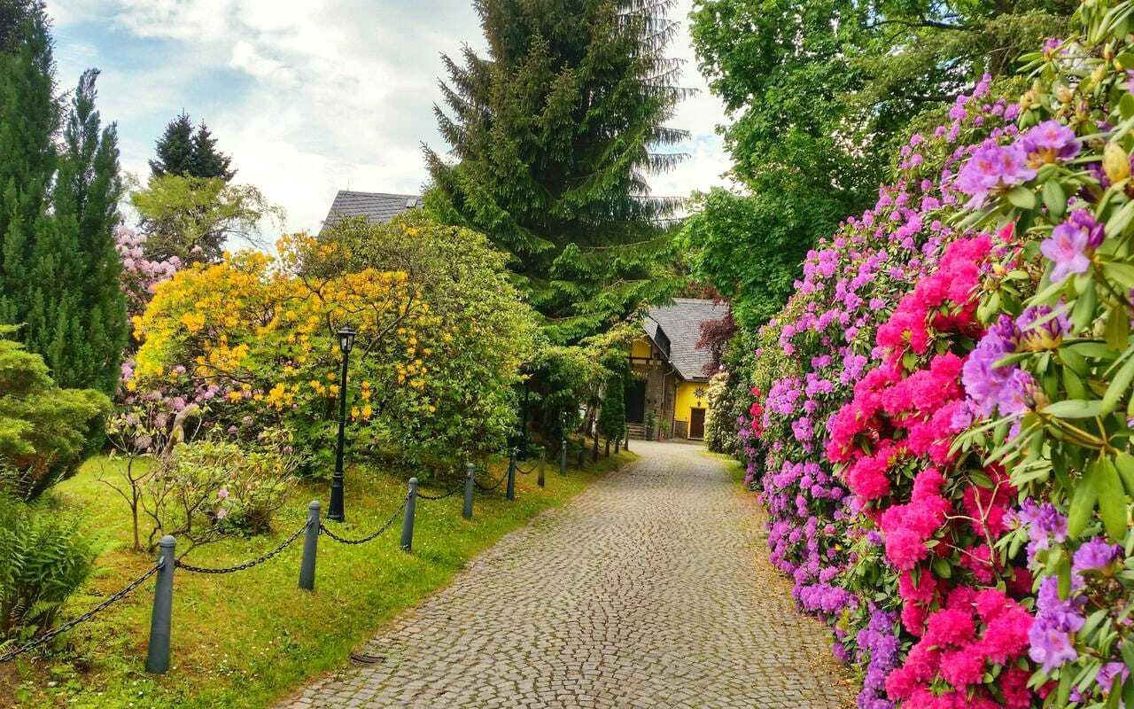 Ehem. Parkhotel mit 19 Zimmern + viele Extras + herrlicher Fernblick, Denkmalschutz