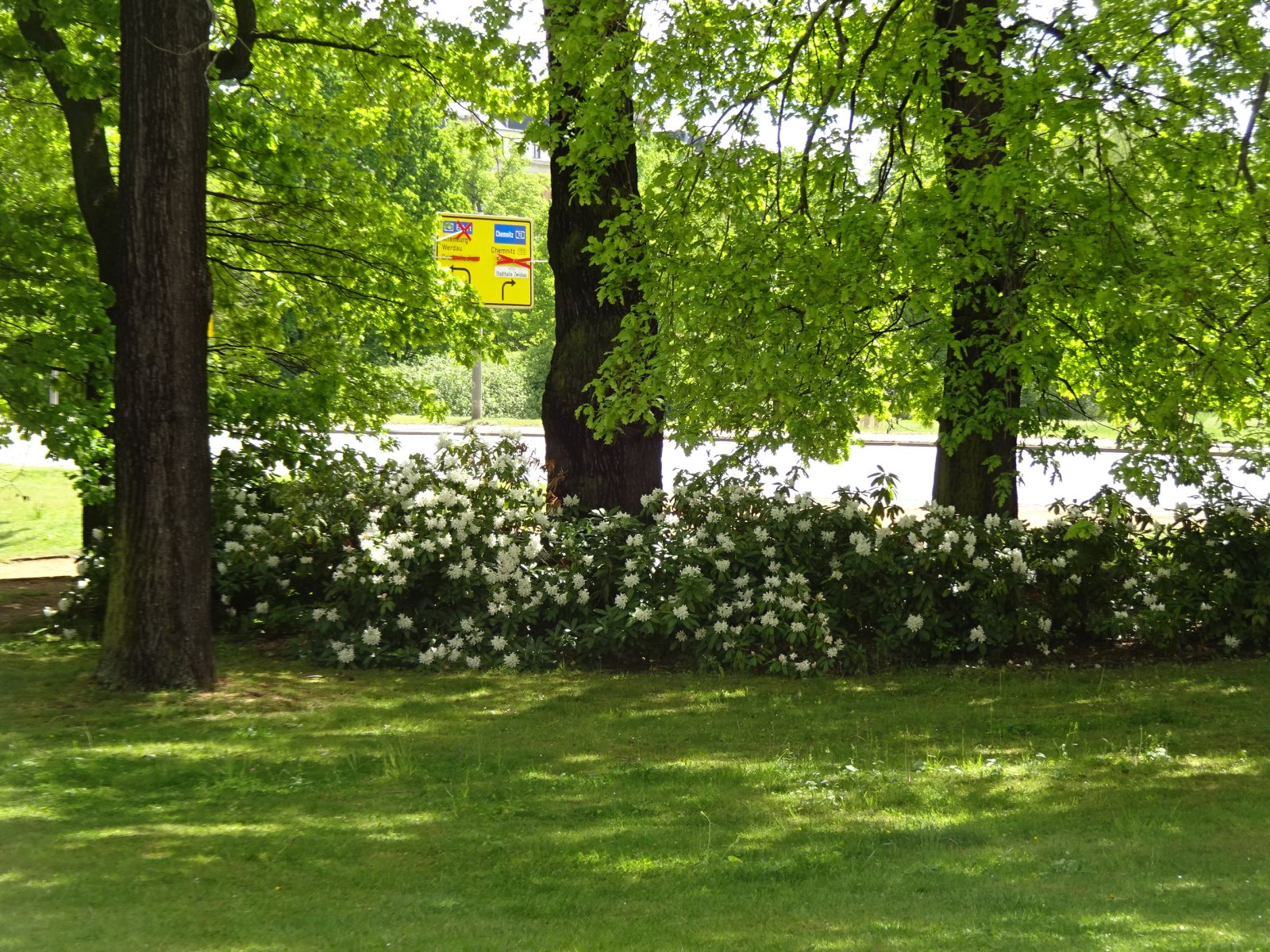 Attraktive, zentrumsnahe 3R.-Whg. mit großer Dachterrasse u. Stellpl.! Leerstehend