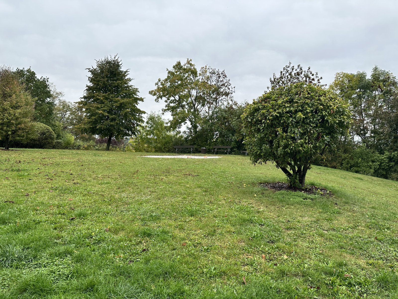 Vermietete 2-Raumwohnung mit Balkon und Stpl. in ruhiger Lage! Zwickau-Cainsdorf!