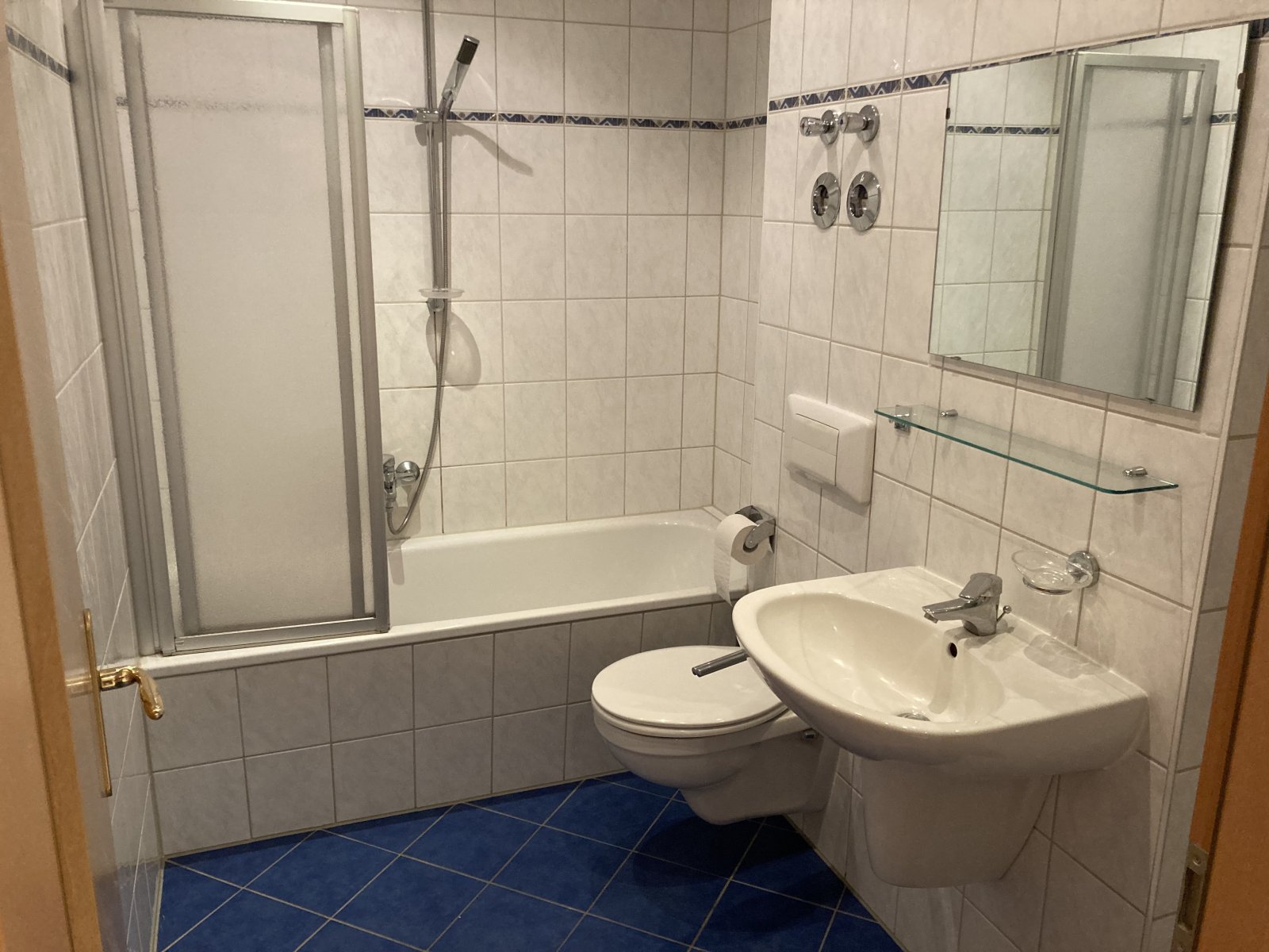 Vermietete 1,5-Raumwohnung mit EBK und Balkon in attraktiver Lage, Nähe Muldenpromenade!