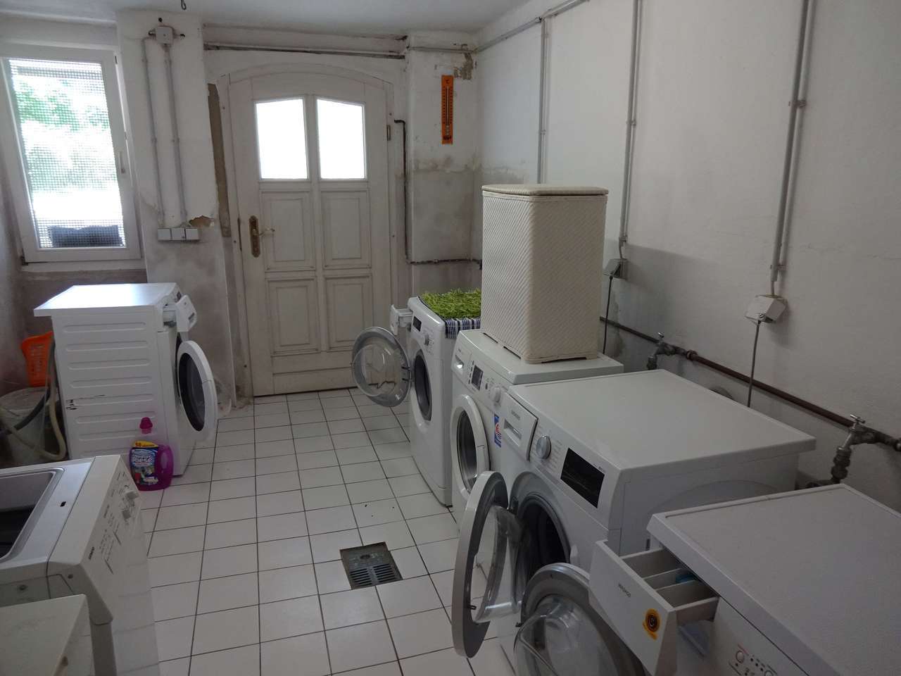 Ab 01.08!! Wohnen am Schwanenteich! 2-Raum-Whg., Balkon, Gartennutzung nach Absprache