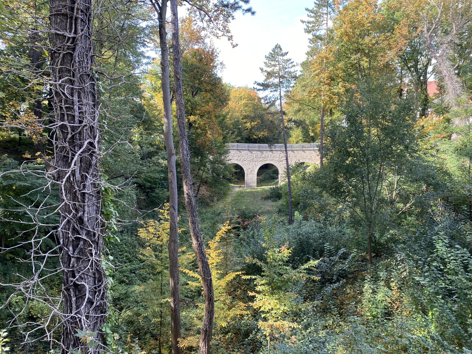 1,5-Raumwhg. mit EBK und Stpl. in historischem Villenviertel