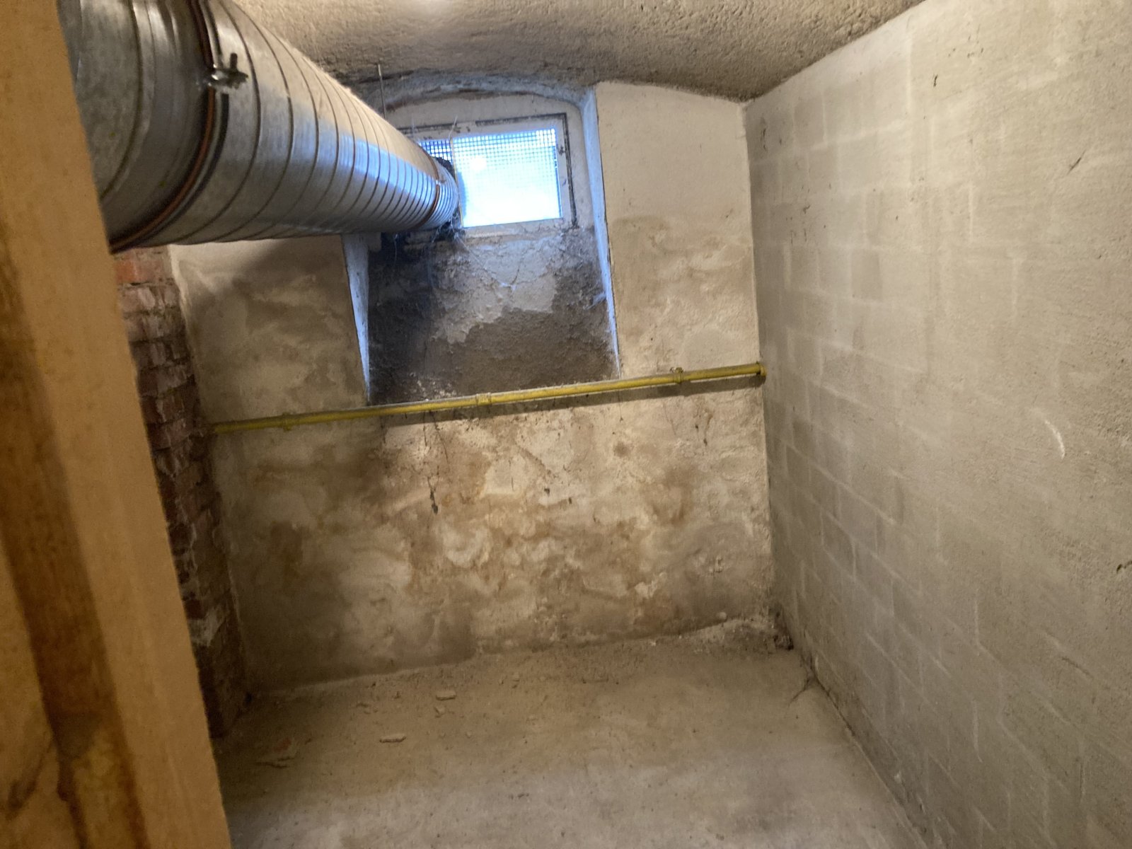 Ab 1.9.26! Schöne 1,5-Raumwohnung im Zwickauer Zentrum!