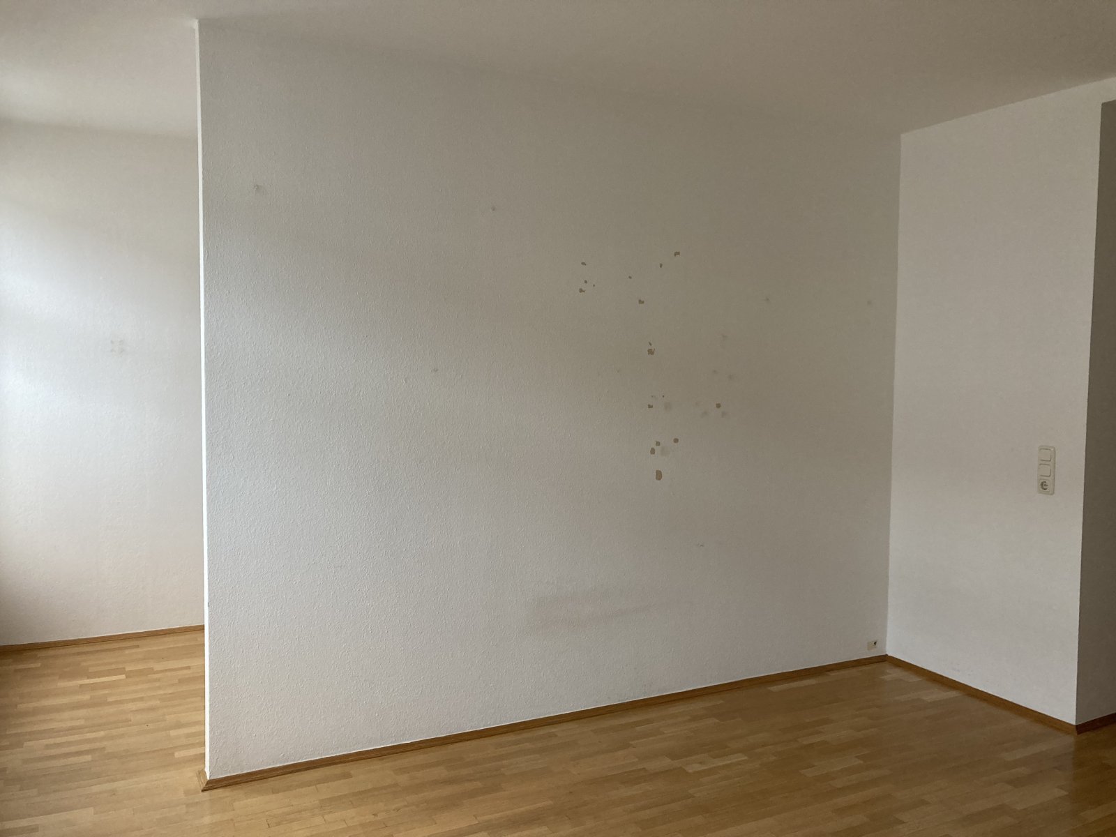 Ab 1.9.26! Schöne 1,5-Raumwohnung im Zwickauer Zentrum!