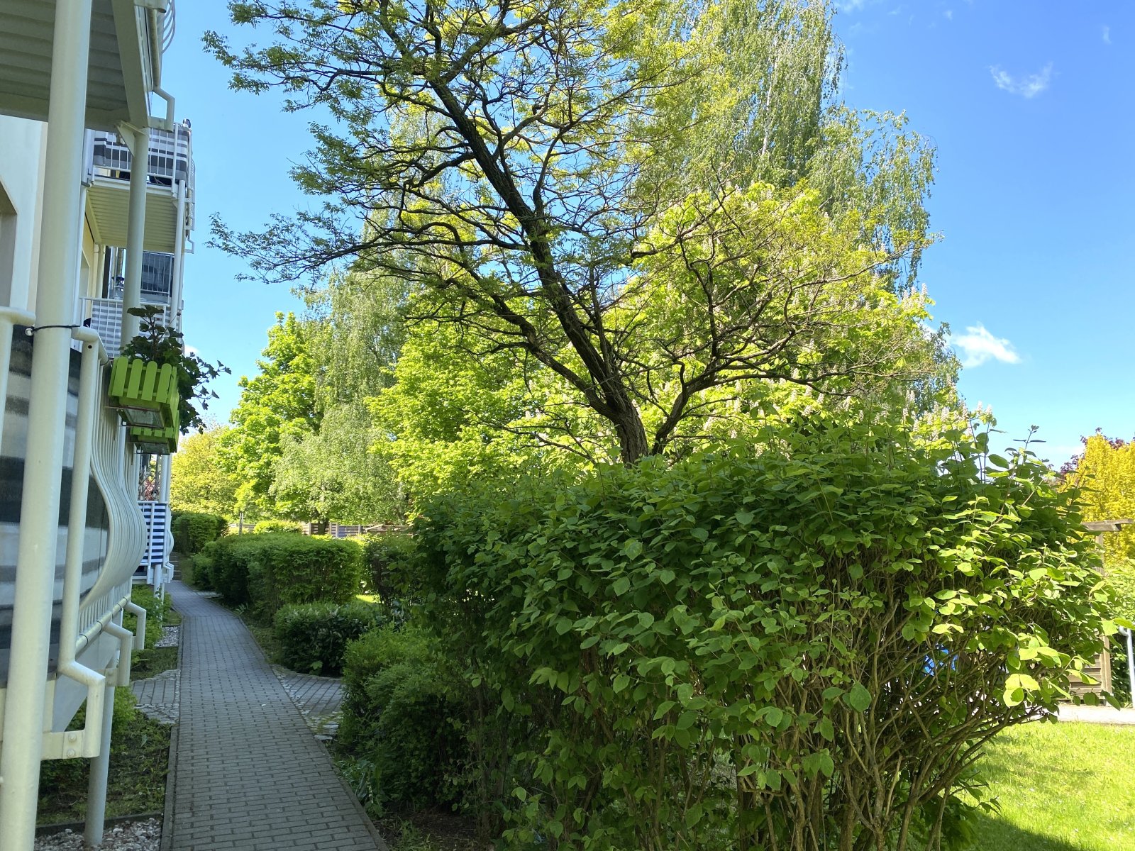 Helle 1,5-Raumwohnung mit Balkon und Stellplatz in Marienthal! Nähe HBK!