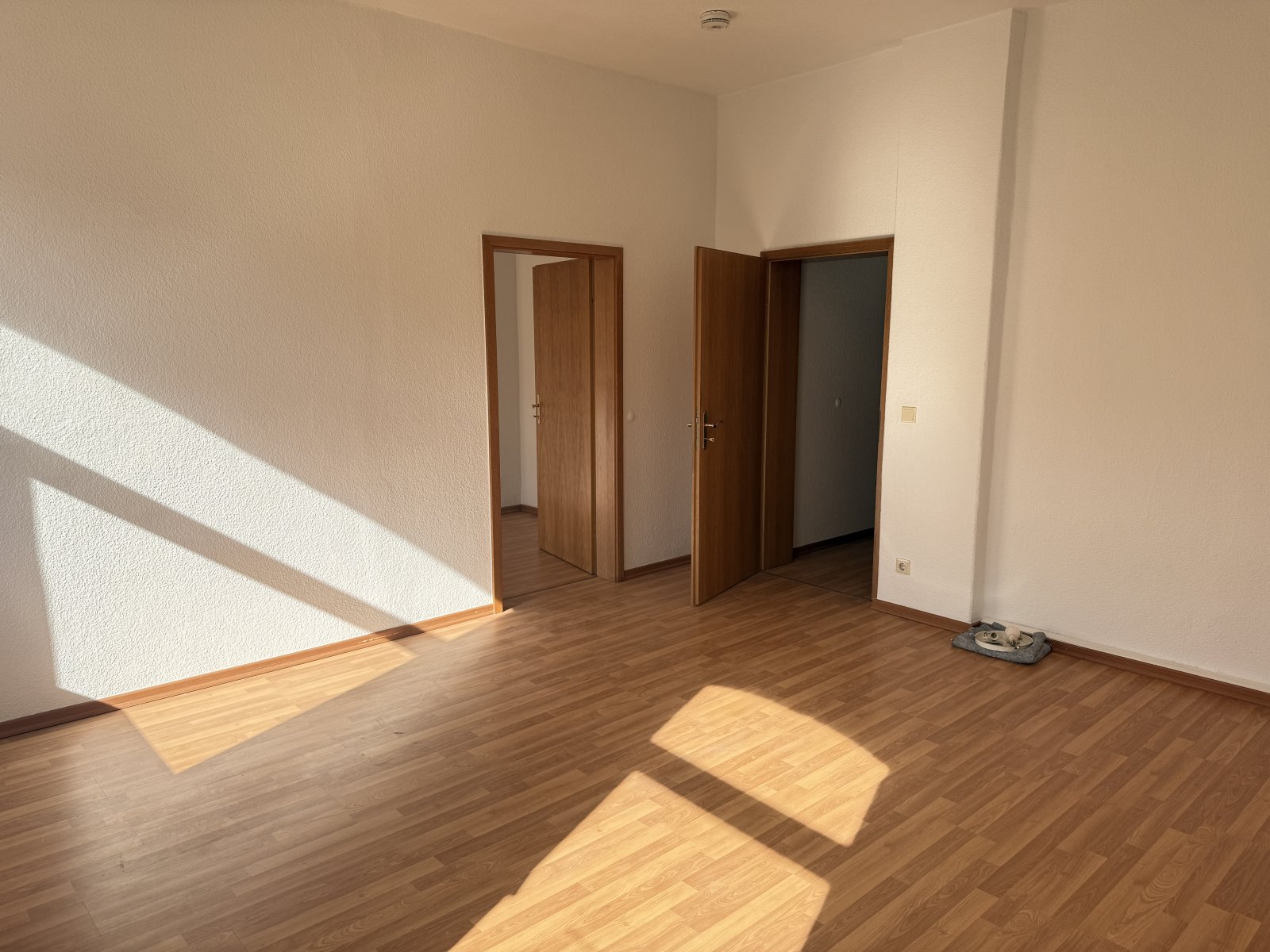 Helle, sanierte 2-Raumwohnung in guter Lage! 