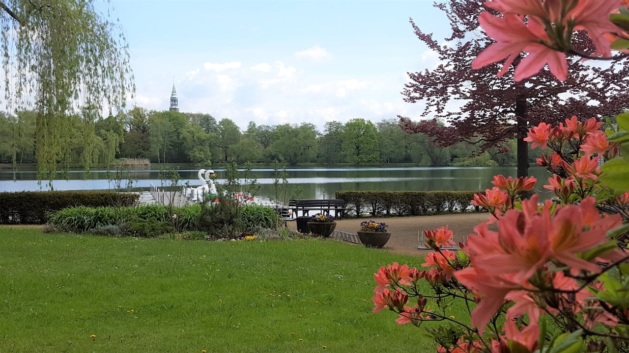 Naherholung im Park am Schwanenteich