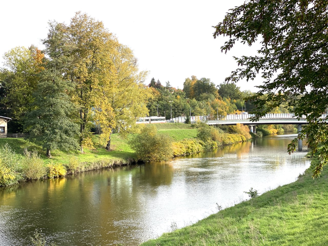 Flussaue an der Zwickauer Mulde