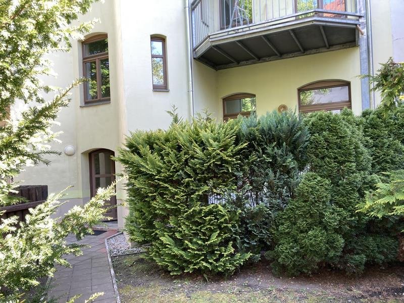 Hecke als Sichtschutz für Balkon