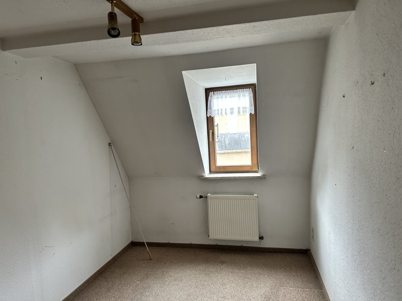 Zimmer DG Zimmer DG