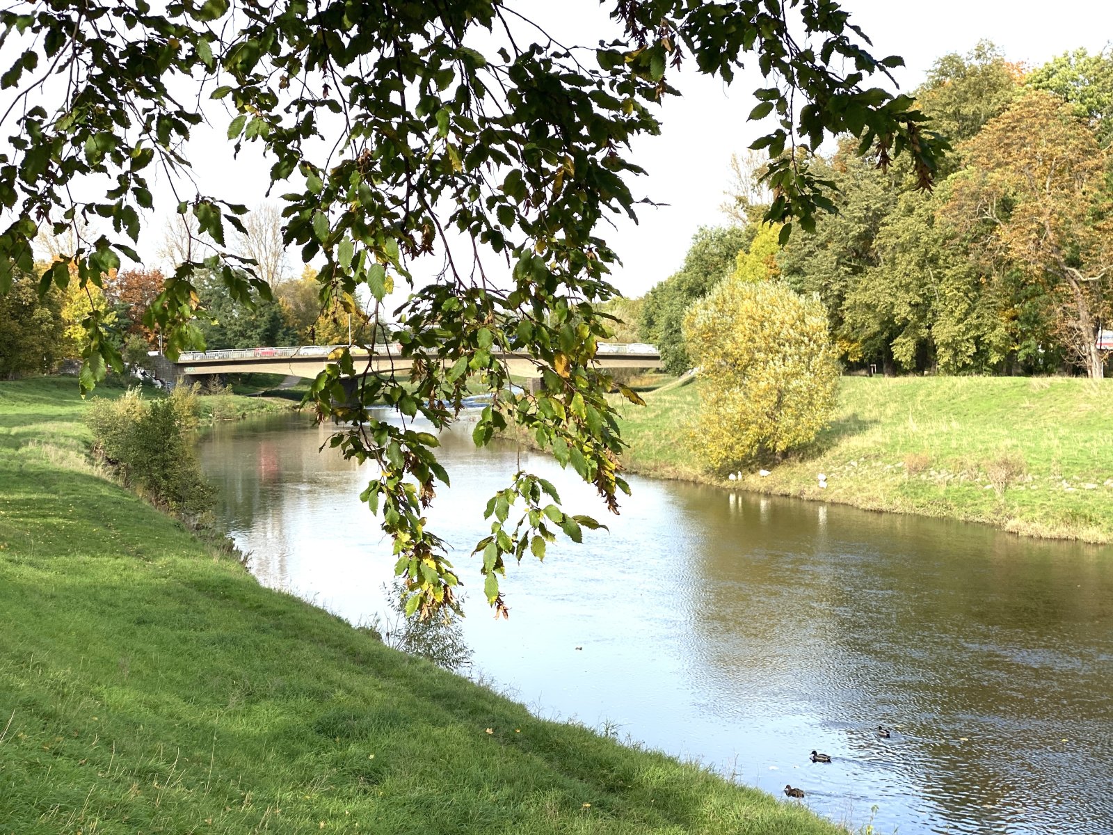 Mulde mit Radweg