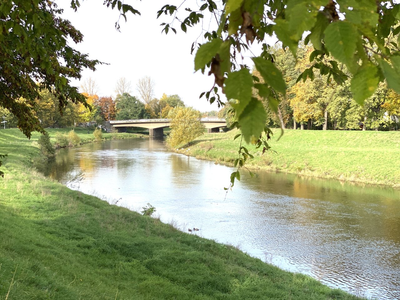 Flussaue der Zwickauer Mulde Flussaue der Zwickauer Mulde