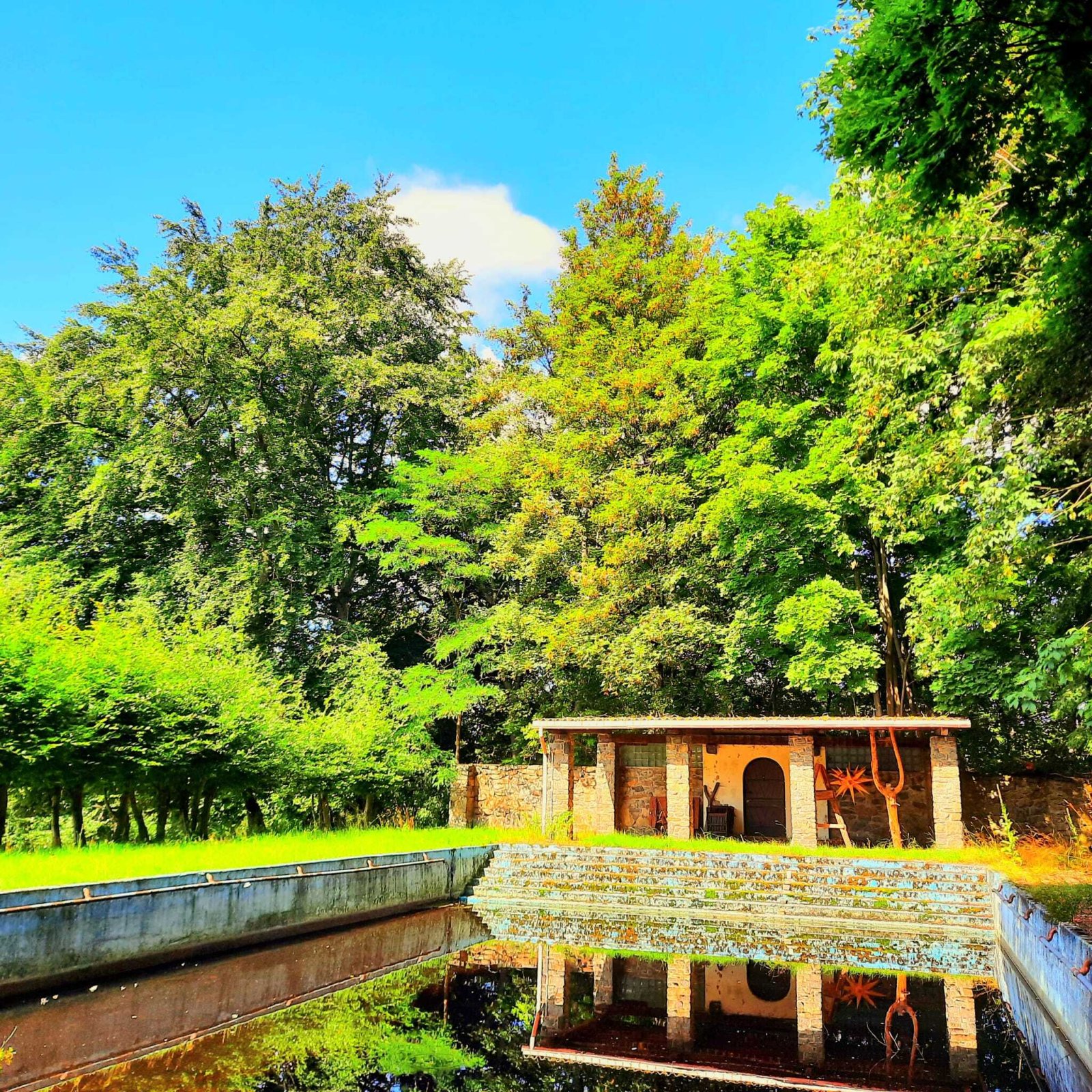 Schwimmbad/Teich