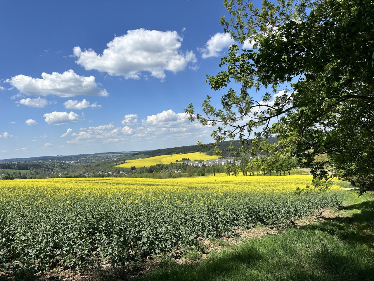 Fernblick