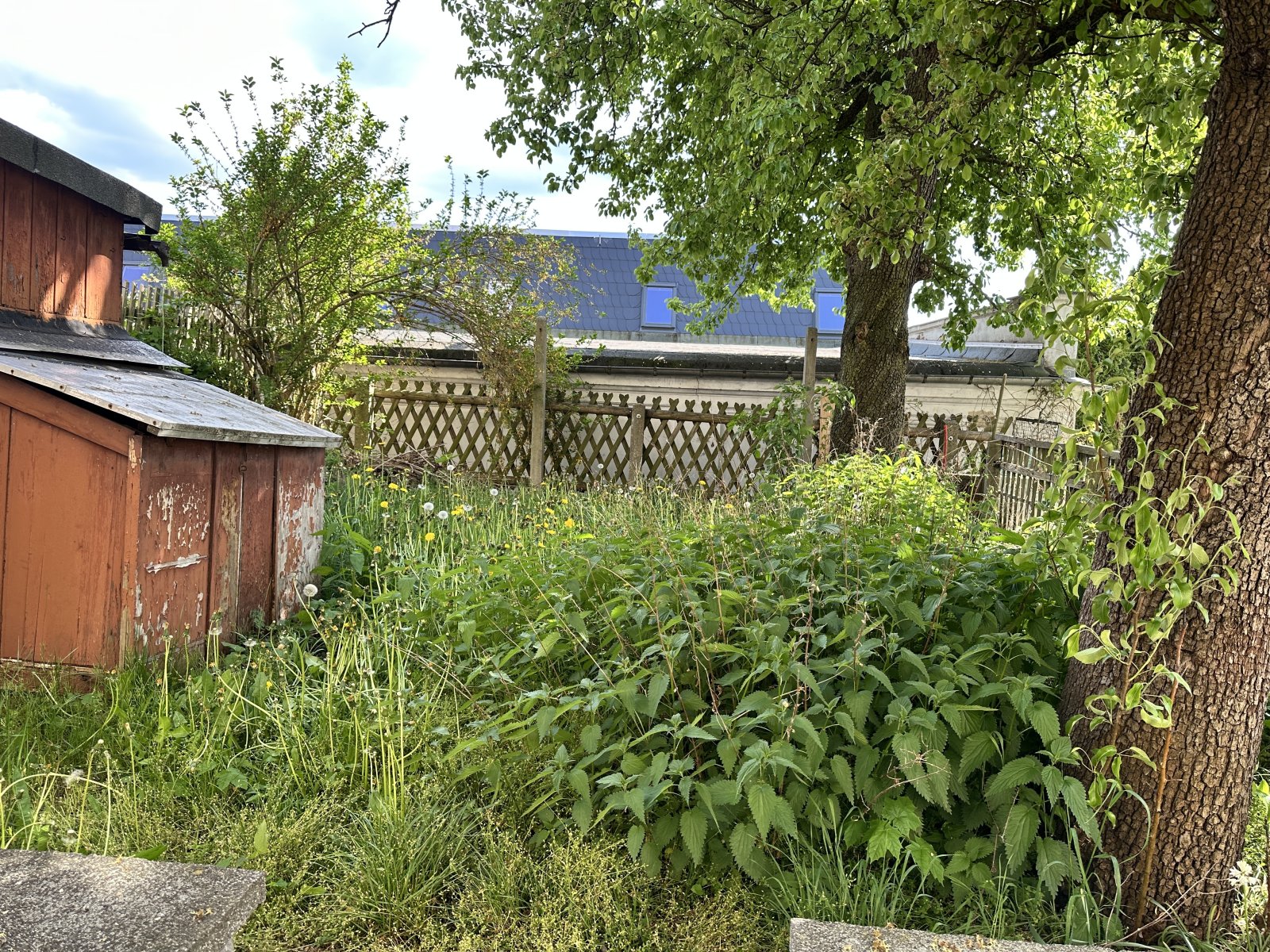 Hinterhof Hinterhof