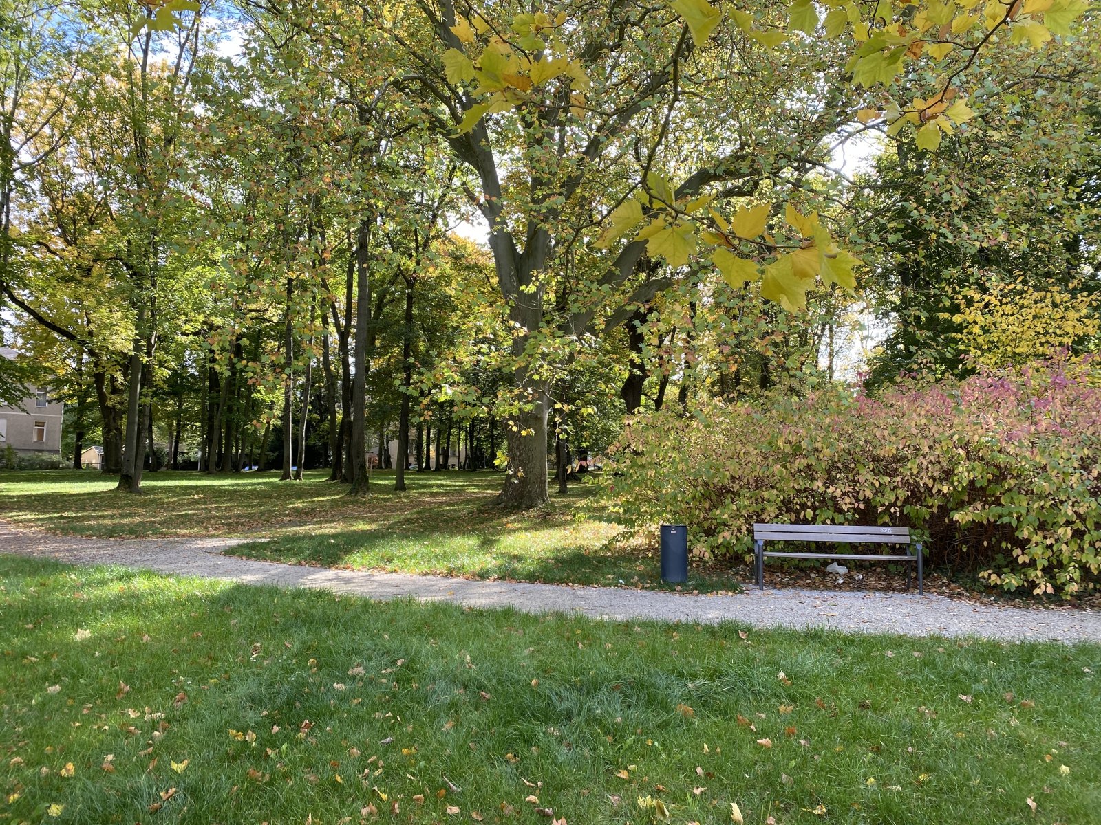 Schlosspark Forderglauchau Schlosspark Forderglauchau