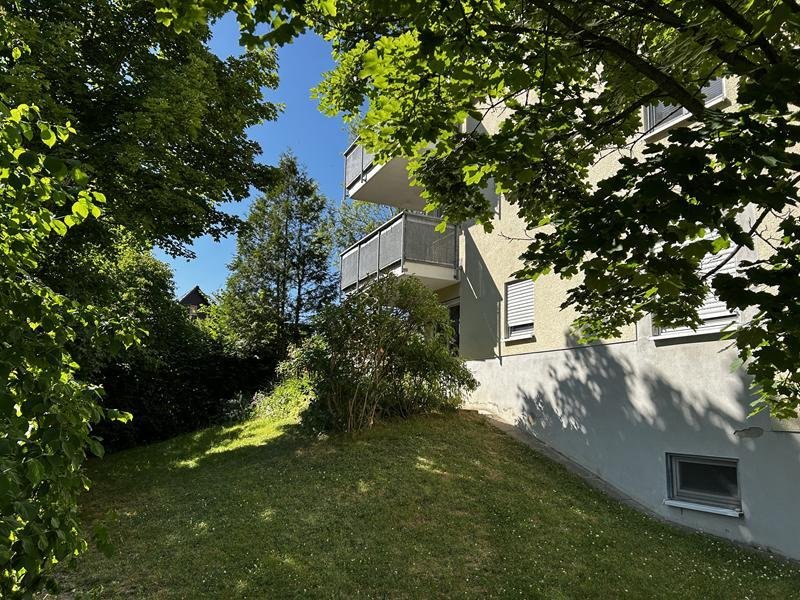 Bäume, Büsche, Wiese hinter dem Haus Bäume, Büsche, Wiese hinter dem Haus
