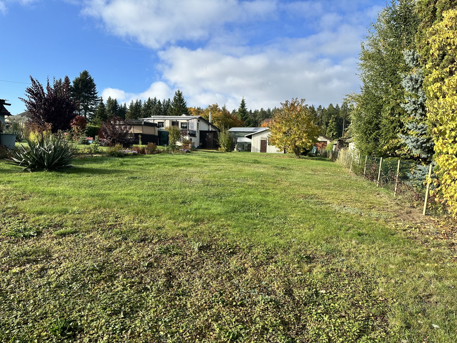 Blick in das Grundstück Blick in das Grundstück