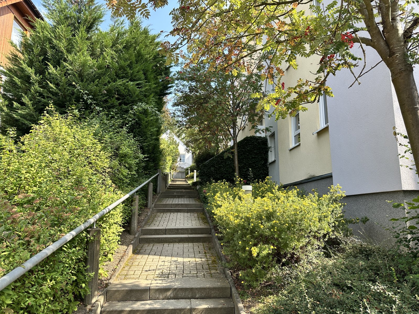 parkähnliche Außenanlage parkähnliche Außenanlage