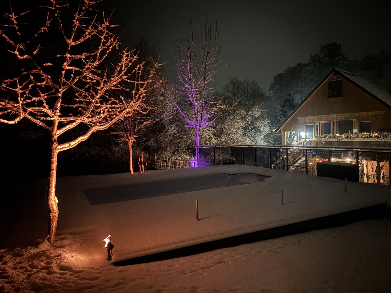 Winter