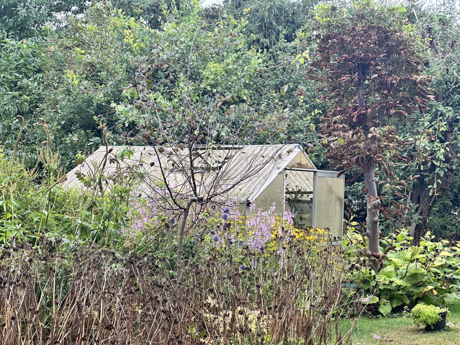 Garten Garten