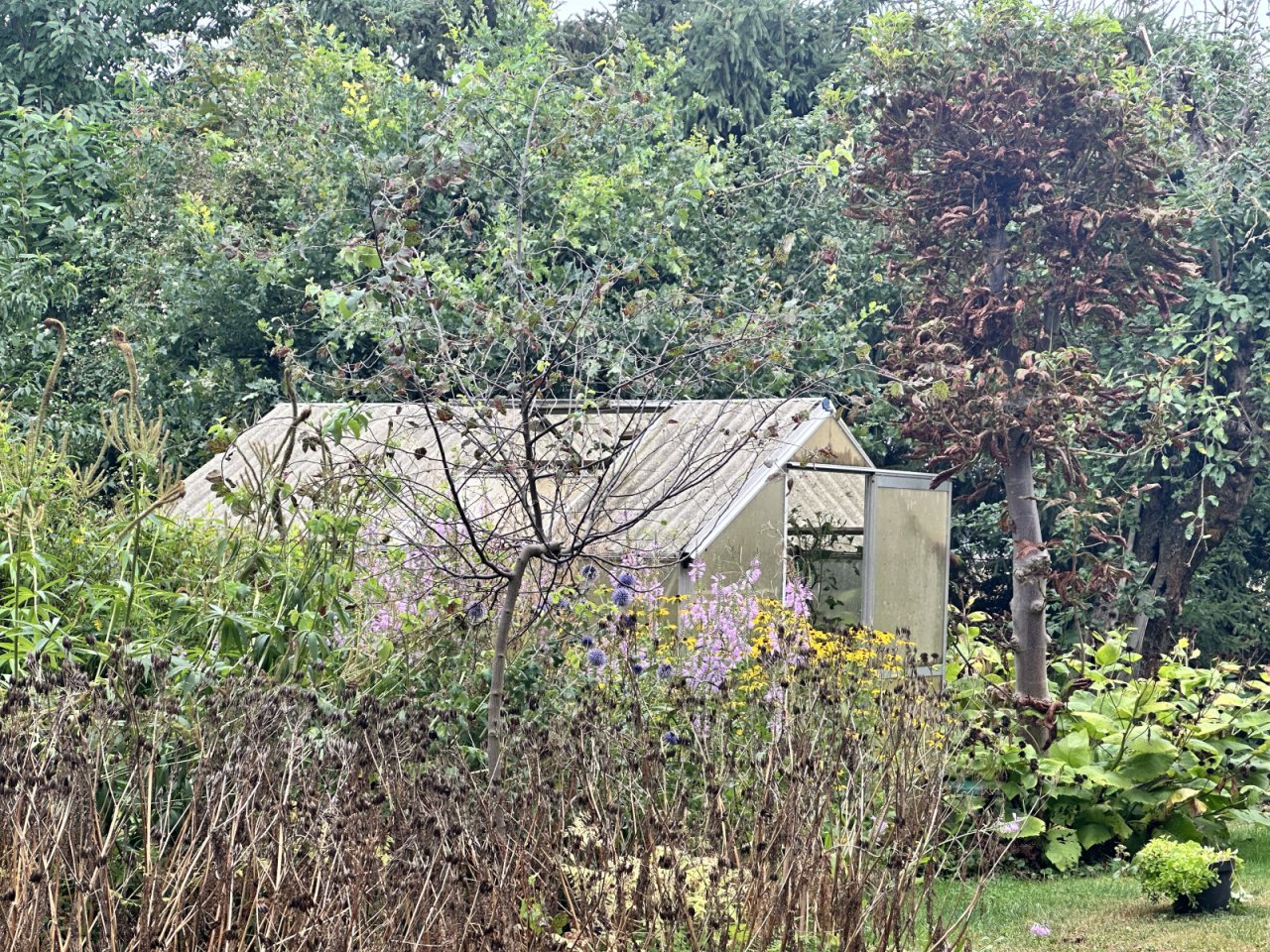 Garten Garten