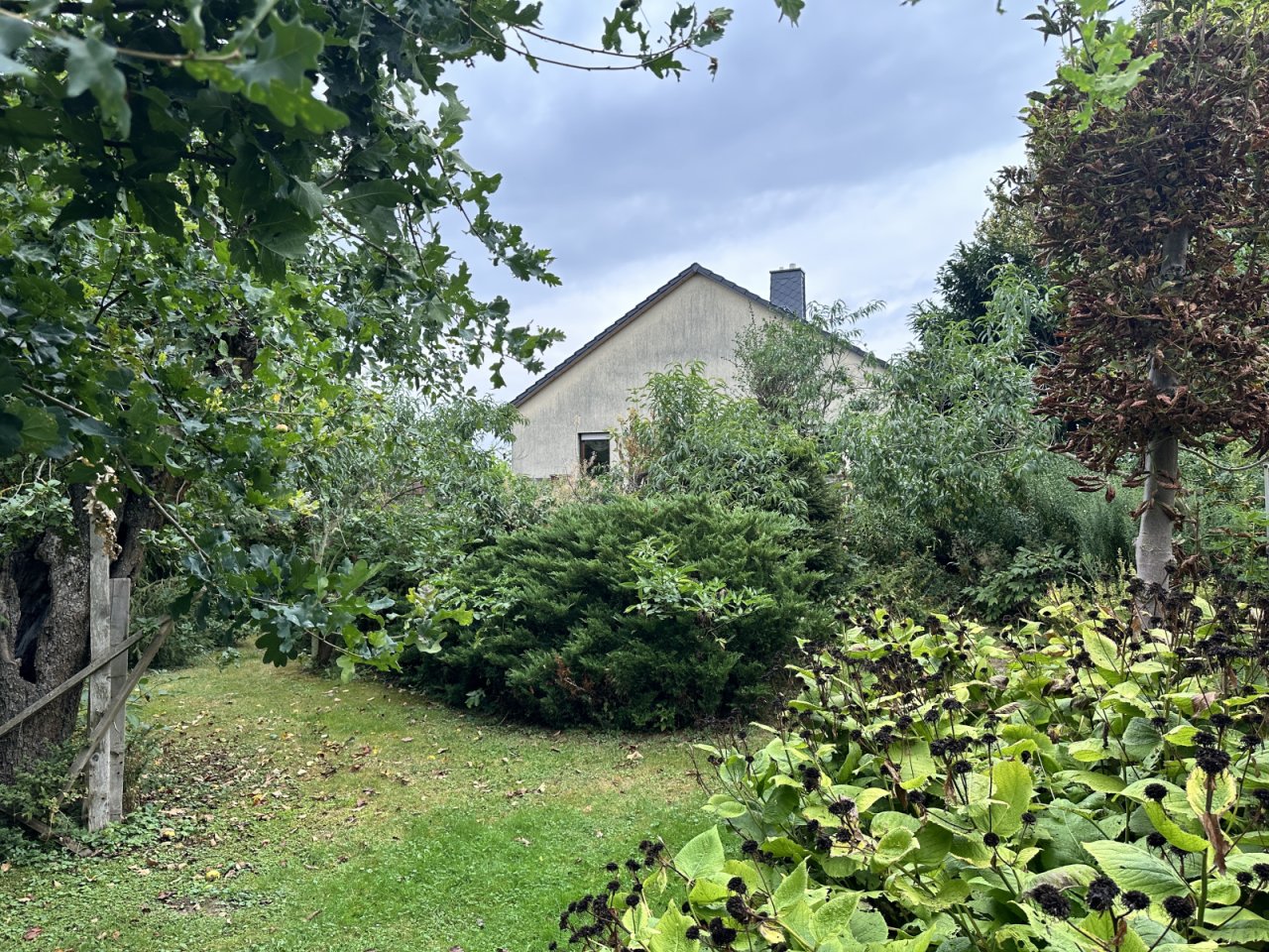 Garten Garten