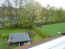 Außenanlage Außenanlage